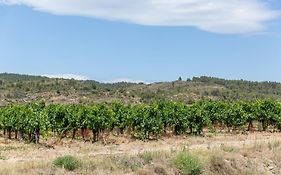 Apartment Near The River In Bize Minervois
